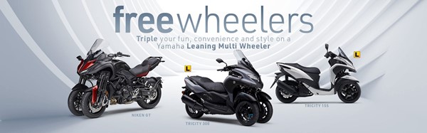 195 Free Wheelers