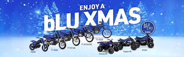 255 bLU Xmas