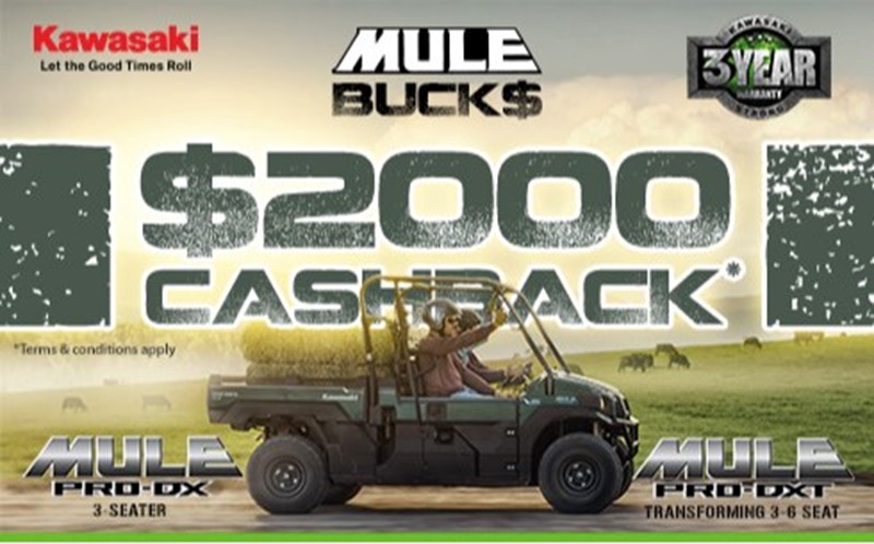 2024 MULE PRO DX DIESEL - MULE & TERYX - Coast Powersports - Yamaha, KTM, Kawasaki motorcycles - Adelaide, South Australia