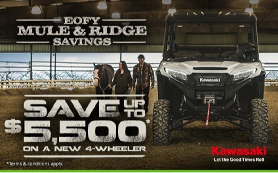  EOFY Mule